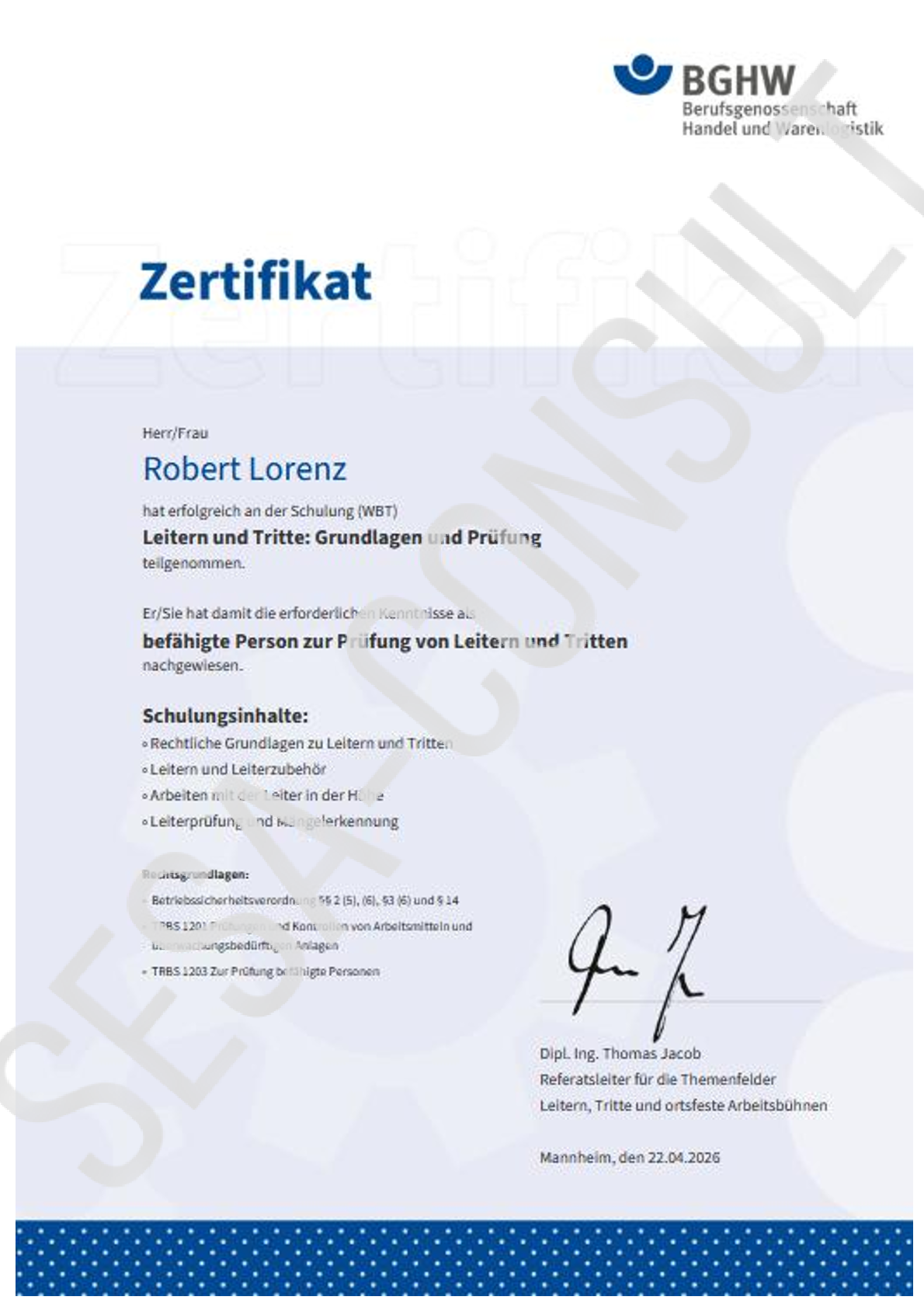 Prüfung von Leitern und Tritten