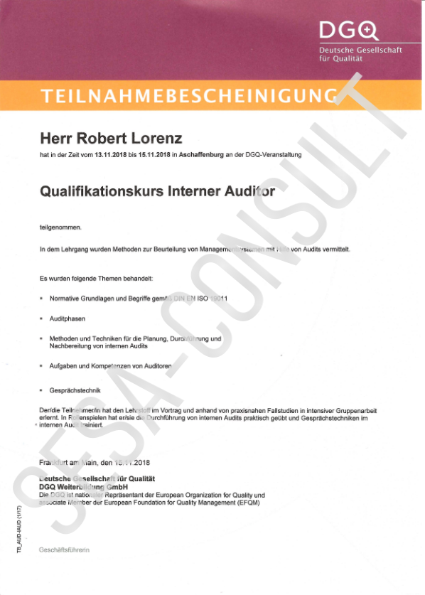 Interner Auditor nach ISO 19011